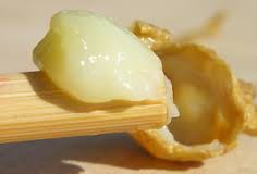 ΒΑΣΙΛΙΚΟΣ ΠΟΛΤΟΣ